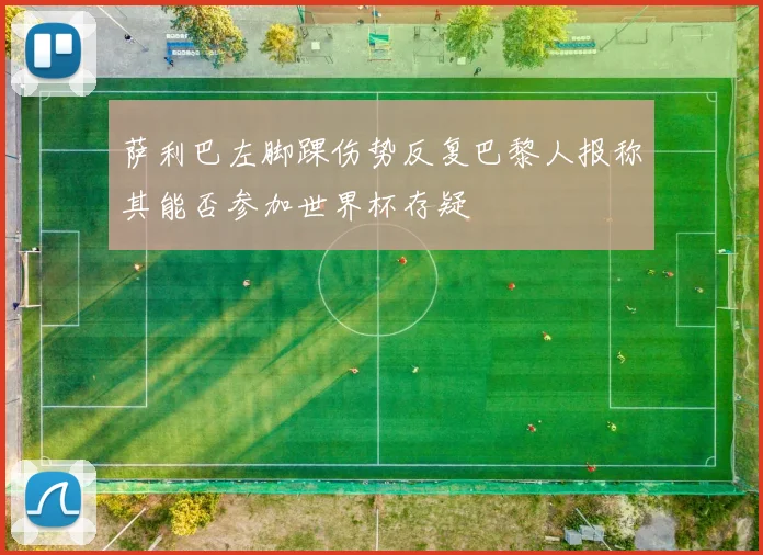 萨利巴左脚踝伤势反复巴黎人报称其能否参加世界杯存疑