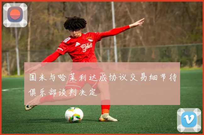 国米与哈莱利达成协议交易细节待俱乐部谈判决定